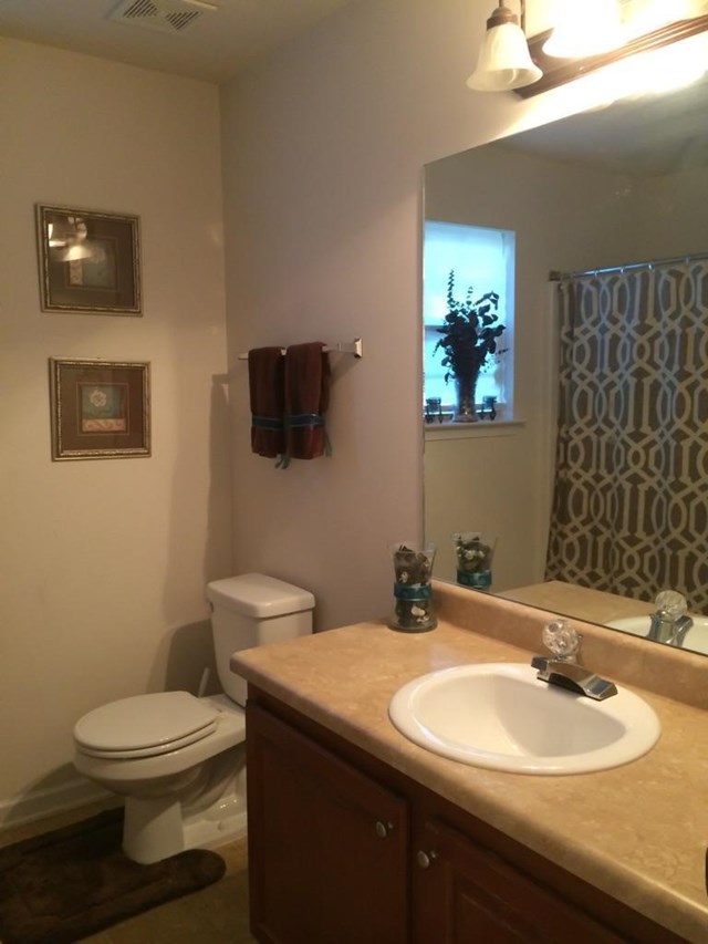 6950 Misttop Loop, Fairburn, GA 30213 photo 9