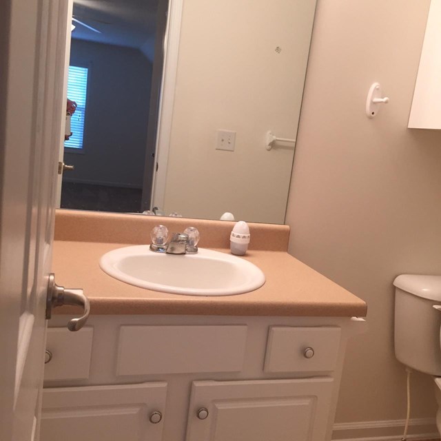 1010 Cyperts Trl, Winder, GA 30680 photo 14