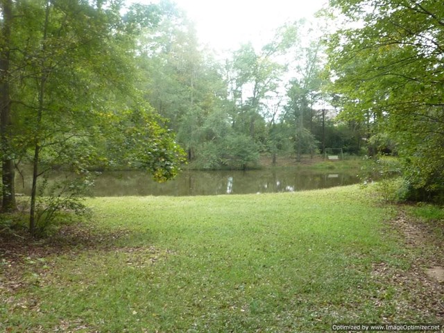 460 E Mays Rd, Stockbridge, GA 30281 photo 22