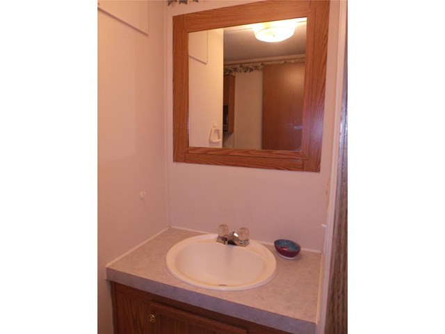 3738 E Jones Dr, Buford, GA 30519 photo 20