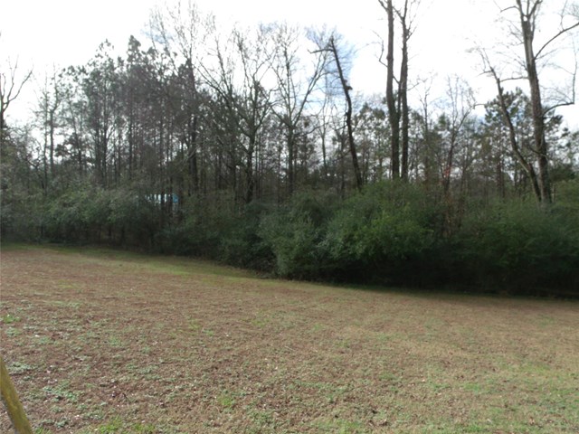 3738 E Jones Dr, Buford, GA 30519 photo 18