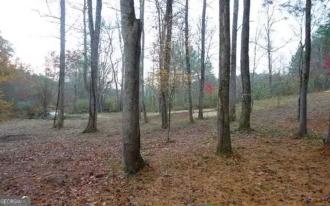 Undisclosed, Warne, NC 28909 photo 20