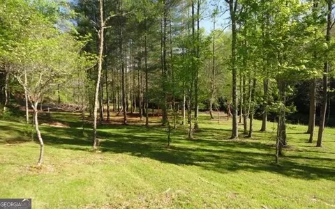 Undisclosed, Warne, NC 28909 photo 10