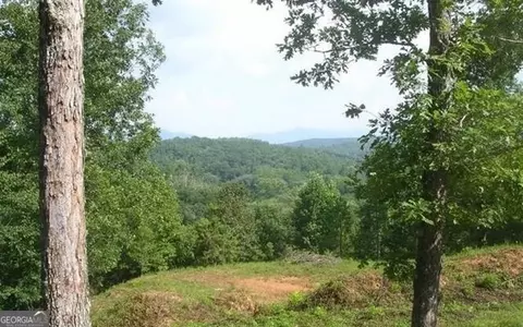 Undisclosed, Warne, NC 28909 photo 22