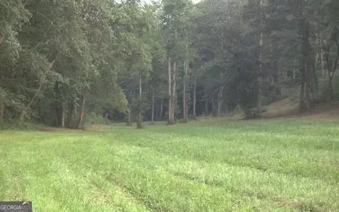 Undisclosed, Warne, NC 28909 photo 23