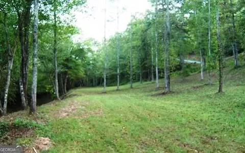 Undisclosed, Warne, NC 28909 photo 14