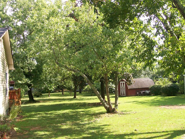138 Ball St, Jackson, GA 30233 photo 24