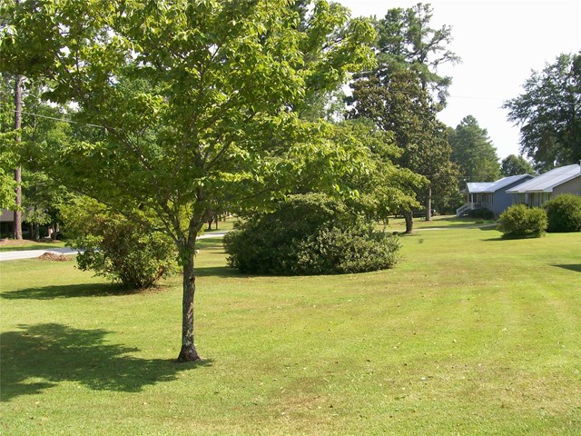 138 Ball St, Jackson, GA 30233 photo 23