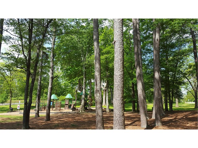 3213 Rex Ridge Dr, Rex, GA 30273 photo 24