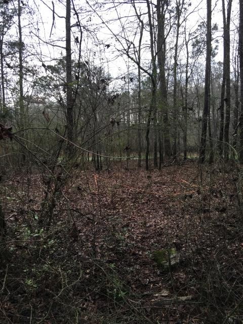 1520 Harmony Church Rd, Monroe, GA 30655 photo 4