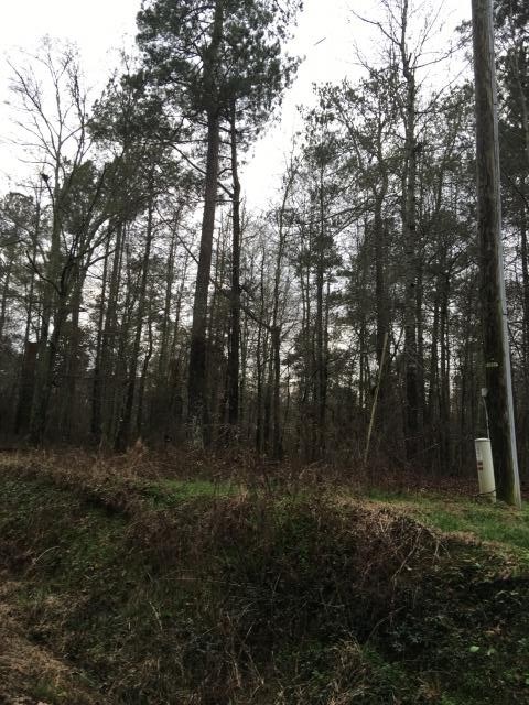 1520 Harmony Church Rd, Monroe, GA 30655 photo 6