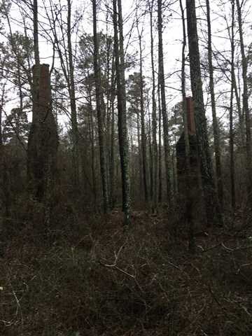 1520 Harmony Church Rd, Monroe, GA 30655 photo 1