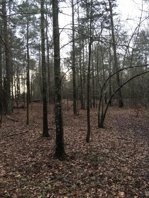 1520 Harmony Church Rd, Monroe, GA 30655 photo 5
