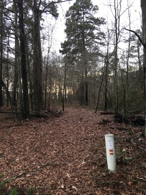 1520 Harmony Church Rd, Monroe, GA 30655 photo 7
