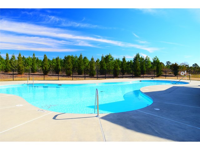 435 Eldridge Dr, Suwanee, GA 30024 photo 19