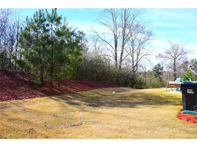 435 Eldridge Dr, Suwanee, GA 30024 photo 17