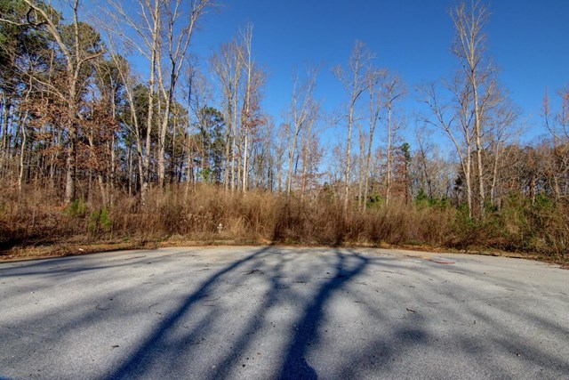 20 Jonna Ln, Covington, GA 30016 photo 8