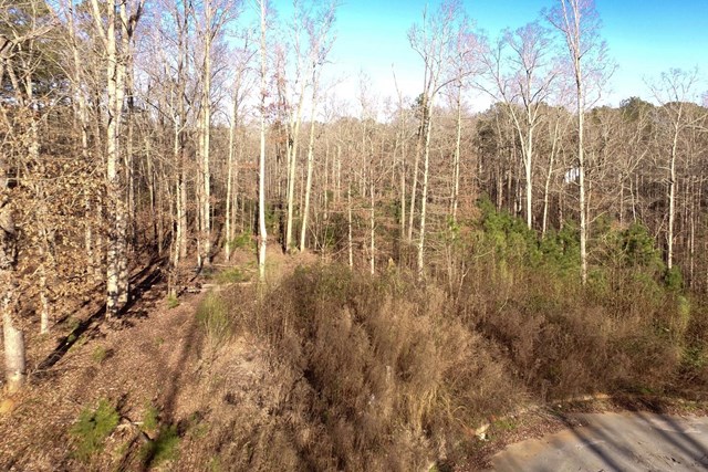 20 Jonna Ln, Covington, GA 30016 photo 15