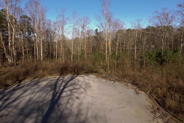 20 Jonna Ln, Covington, GA 30016 photo 17