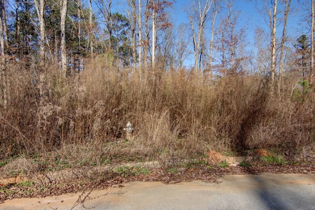 20 Jonna Ln, Covington, GA 30016 photo 10