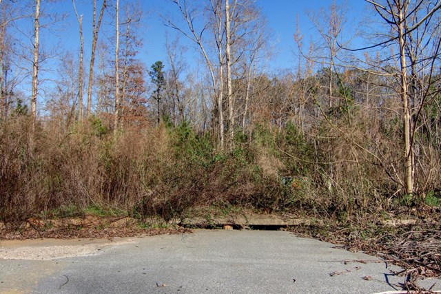 20 Jonna Ln, Covington, GA 30016 photo 9