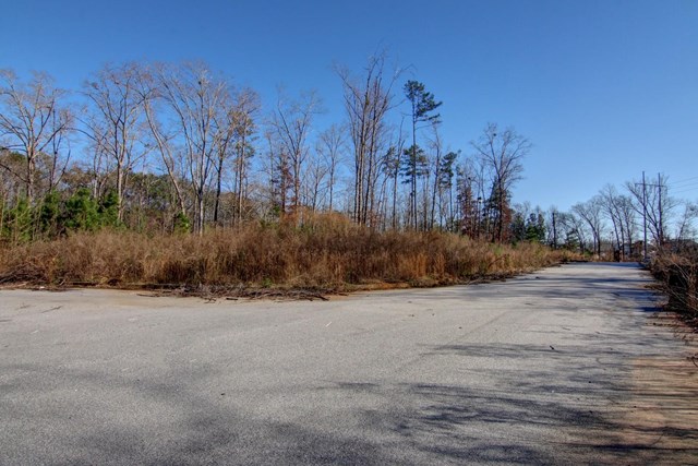 20 Jonna Ln, Covington, GA 30016 photo 4