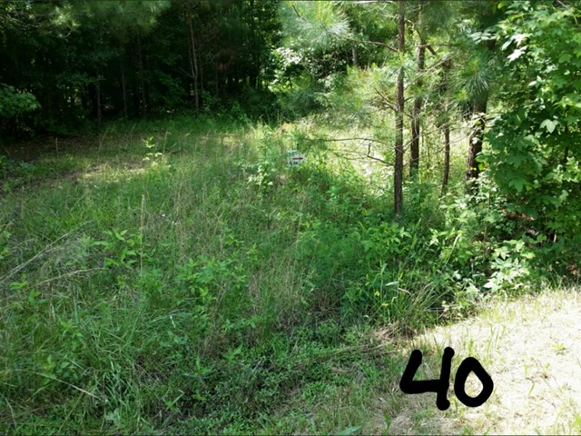 135 Pebble Creek Ct, Covington, GA 30016 photo 4