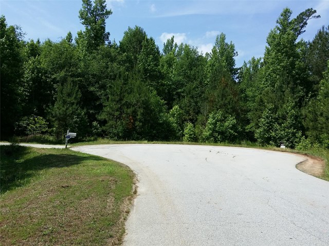 135 Pebble Creek Ct, Covington, GA 30016 photo 2