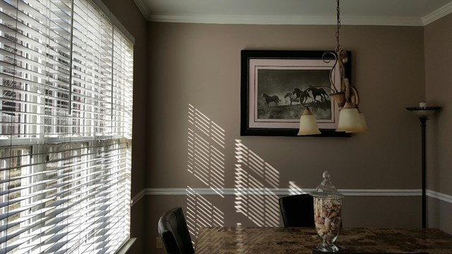205 Nashua Dr, Lagrange, GA 30241 photo 8