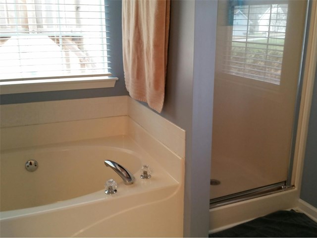 111 Dogwood Rdg, Hampton, GA 30228 photo 15