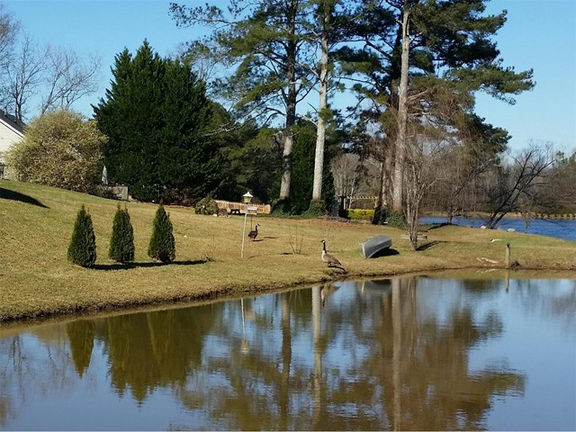 111 Dogwood Rdg, Hampton, GA 30228 photo 24