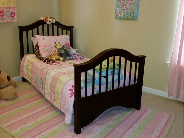 111 Dogwood Rdg, Hampton, GA 30228 photo 18