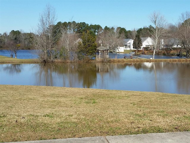 111 Dogwood Rdg, Hampton, GA 30228 photo 22