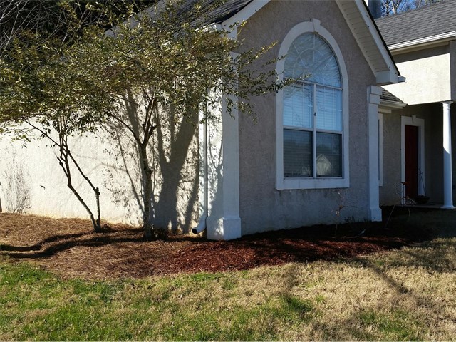 111 Dogwood Rdg, Hampton, GA 30228 photo 3