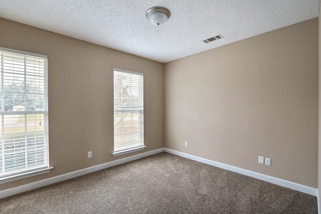 110 Teal Dr, Springfield, GA 31329 photo 14