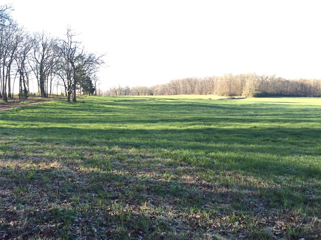 1361 Cole Rd, Carnesville, GA 30521 photo 19