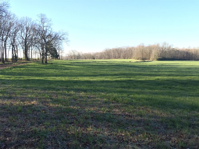 1361 Cole Rd, Carnesville, GA 30521 photo 20
