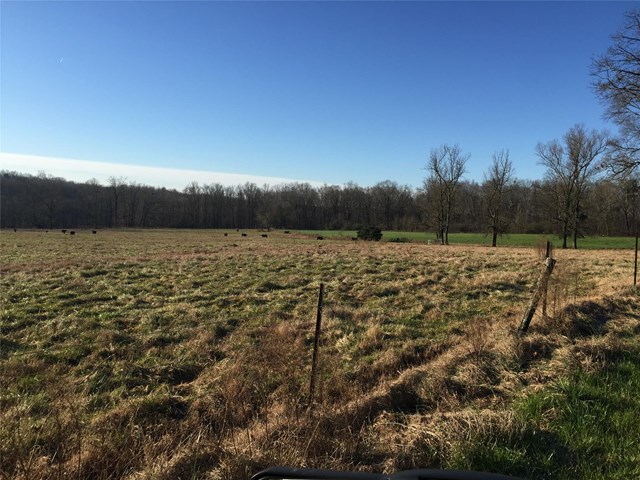 1361 Cole Rd, Carnesville, GA 30521 photo 23