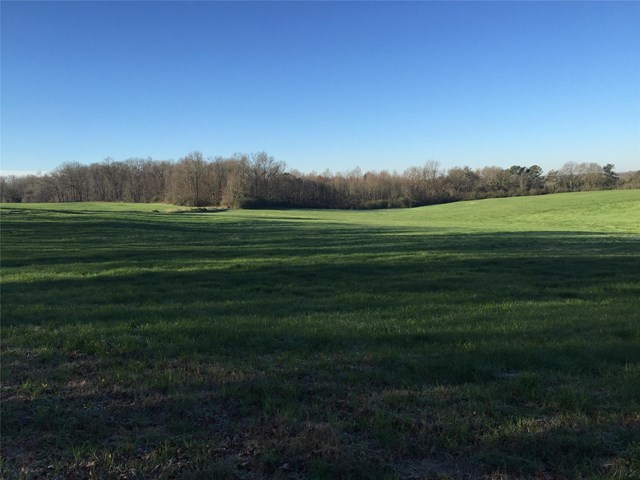 1361 Cole Rd, Carnesville, GA 30521 photo 21
