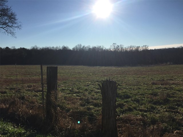 1361 Cole Rd, Carnesville, GA 30521 photo 22