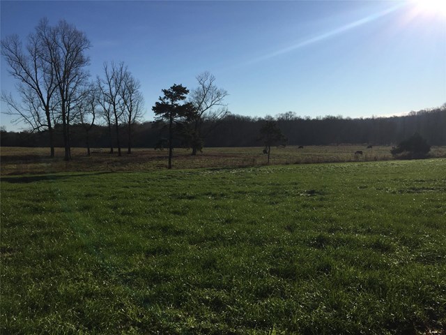 1361 Cole Rd, Carnesville, GA 30521 photo 24