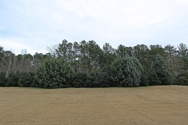 329 Masters Club Blvd, Hampton, GA 30228 photo 24