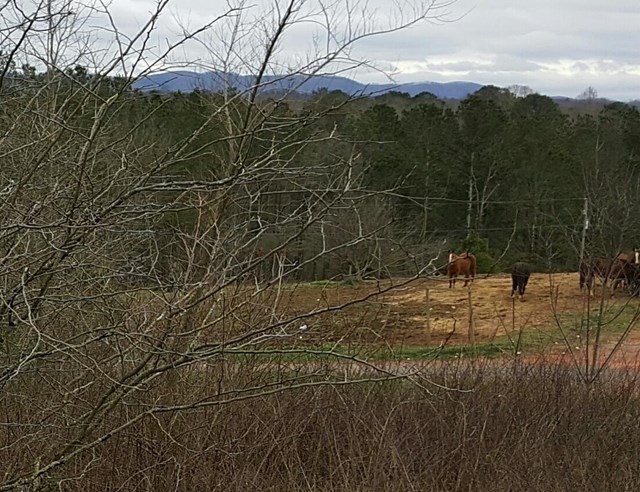 424 Thompson Rd, Ranger, GA 30734 photo 6