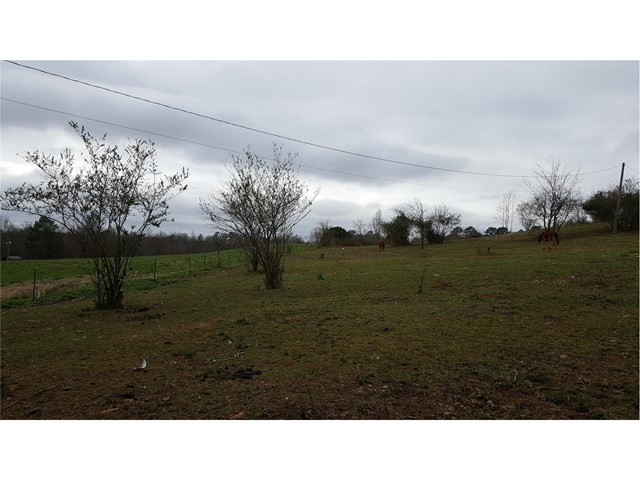 424 Thompson Rd, Ranger, GA 30734 photo 3
