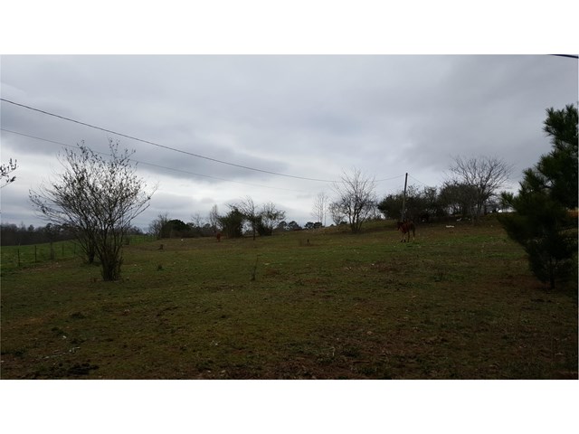 424 Thompson Rd, Ranger, GA 30734 photo 2