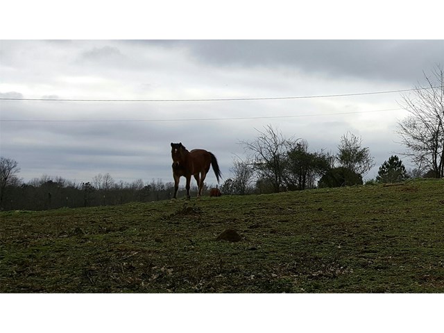 424 Thompson Rd, Ranger, GA 30734 photo 1