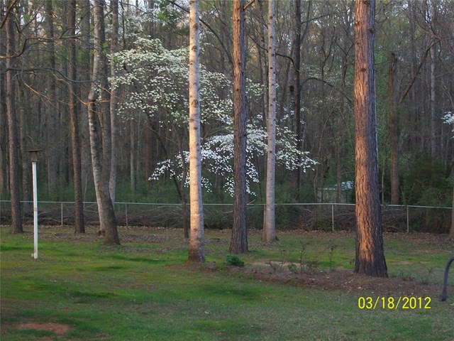 106 Cochran Dr, Lagrange, GA 30240 photo 10