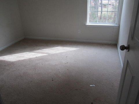 11962 Markham Way, Hampton, GA 30228 photo 9