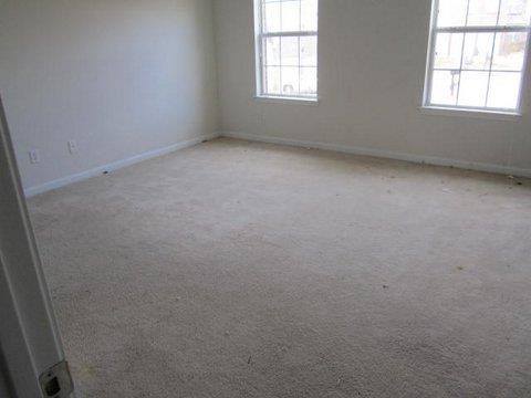 11962 Markham Way, Hampton, GA 30228 photo 10