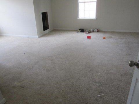 11962 Markham Way, Hampton, GA 30228 photo 11